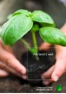 Greenscape Corporate Brochure (Landscaping)